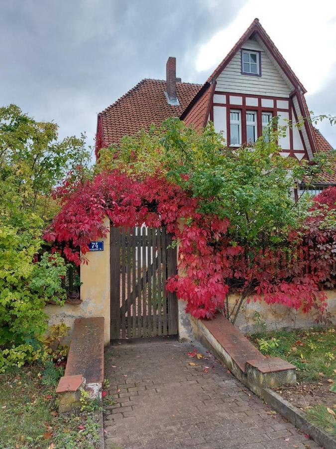 Stilvolles Ferienhaus Artdeco Wernigerode Exterior foto